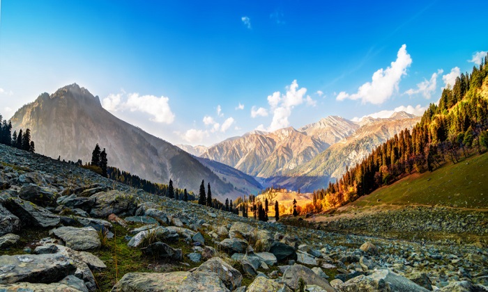 Kashmir Car Rentals